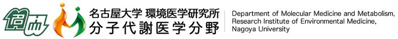 名古屋大学環境医学研究所 分子代謝医学分野