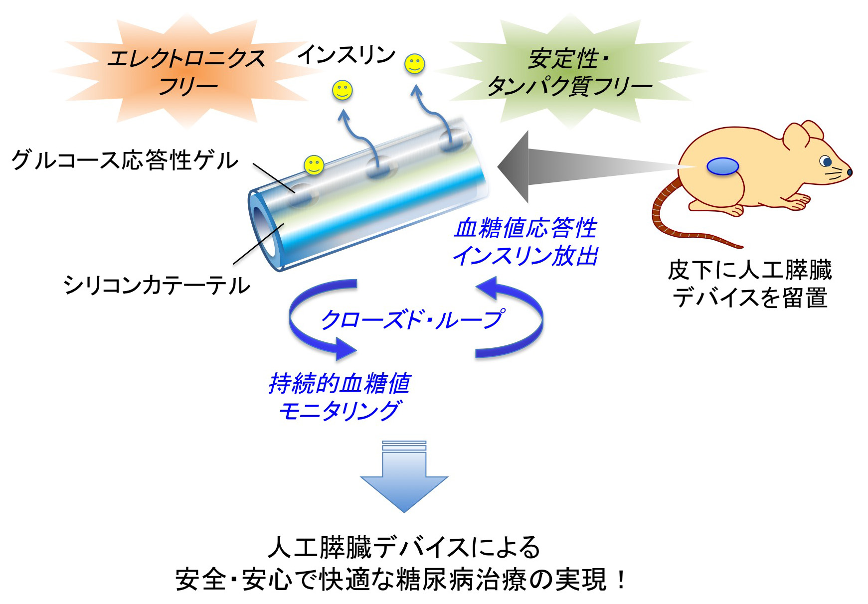図:“エレクトロニクスフリー“な人工膵臓デバイスを開発
