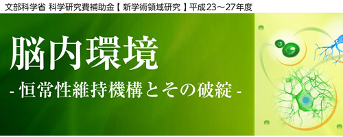 脳内環境 -恒常性維持機構とその破綻-
